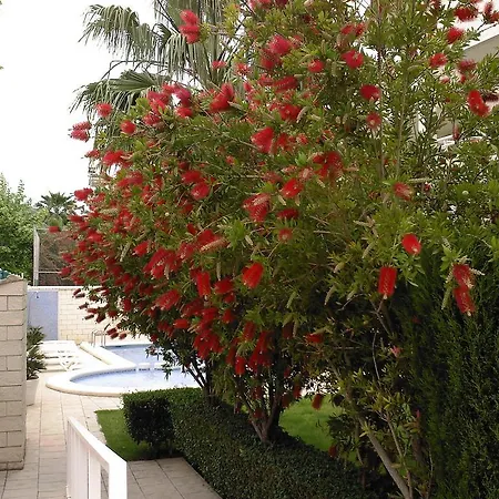 아파트 Las Terrazas De Albir 알비르